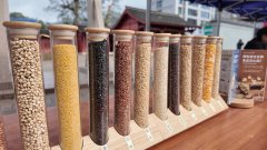 2025年庆元县食物平